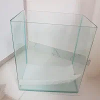 آکواریوم شیشه خم شرکتی