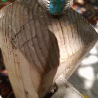 انگشتر فیروزه رکاب نقره