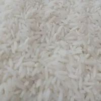 برنج هاشمی خوش پخت مستقیم از کشاورز