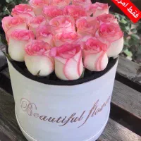 باکس گل طبیعی رزهلندی‌ ممتاز شوک قیمت/باورنکردنی