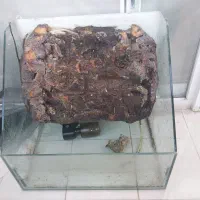 آکواریوم(آبنما)