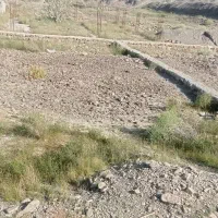 زمین