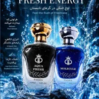 استخدام گرافیست حرفه ای حضوری