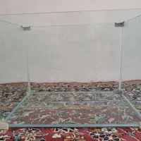 اکواریوم