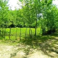 فروش زمین ۵۰۰ متری مسکونی سنددار نیاکو