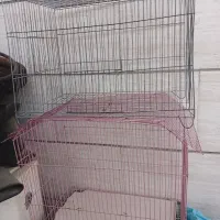 قفس