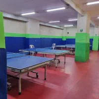 آموزش خصوصی و گروهی پینگ پنگ