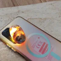 سنگ شجر