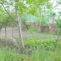 قطعه-زمین-سند-دار