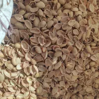 تولید، تامین و فروش پوسته پسته و کربن