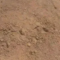 کود حیوانی.پودری خشک تنیسه