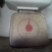یک عدد ترازوی آشپزخانه