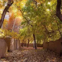 یونس آباد ب ا غ