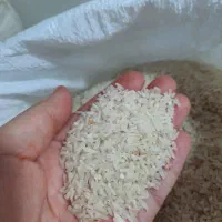 سرلاشه معطر هاشمی