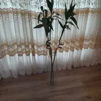 گلدان خارجی بلند