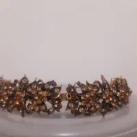 بدلیجات