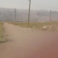 بهترین گزینه برای سرمایه گزاری