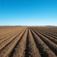 ۱۰ هکتار زمین ابی برای فروش