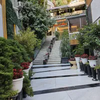 خواننده جهت موزیک زنده رستوران