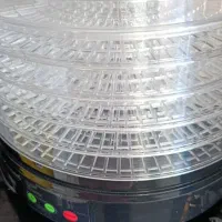 میوه خشک کن دلمونتی