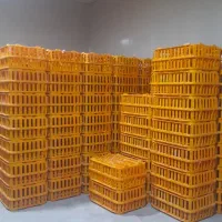 قفس حمل مرغ دردار یزدی