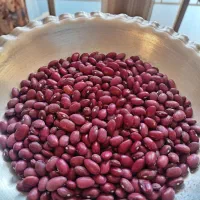لوبیا قرمز درجه یک