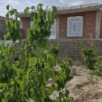 فروش خانه ویلایی