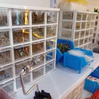 فروش انواع قلاب ماهیگیری