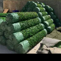چمن مصنوعی فنس و