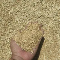 گندم فروشی