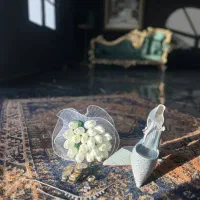عکاسی و فیلمبرداری حرفه ایی