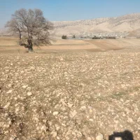 زمین کشاورزی ۲۱۱۳۰متر