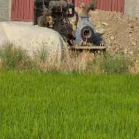 خرانه شالی