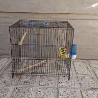 قفس پرنده
