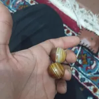 سنگ مهره محبت و رزق