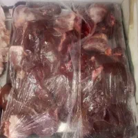جیگر تازه کشتار گاهی1500