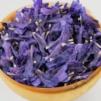 گل گاوزبان