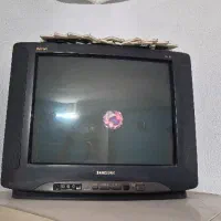 تلویزیون