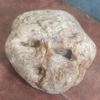 سنگ قیمتی قهوه ای و سفید