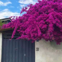 مشارکت در ساخت