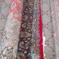 فرش|فرش|سلماس, |دیوار