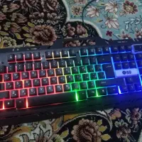 موس و کیبورد