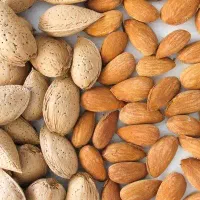 خشکبار