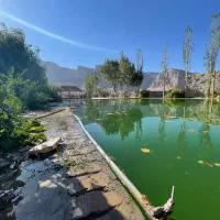 اجاره باغ ۴۰۰۰متری ده بالا