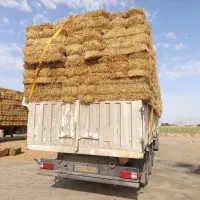 خرید و فروش کاه