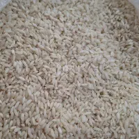 فروش برنج چمپا چیت انبه و کیسه ای برنج هندی 2300