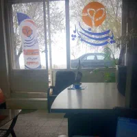 بخشودگی جرائم بیمه ثالث (باغستان غربی)
