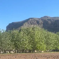 باغ ویلا نو ساز روستای ورده اطراف ساوه