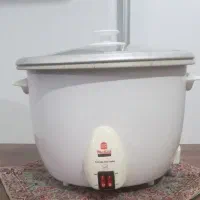 پلوپز برقی