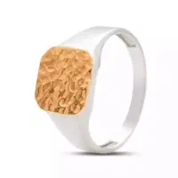 انگشتر طلا + نقره
